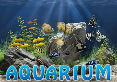 Aquarium HD